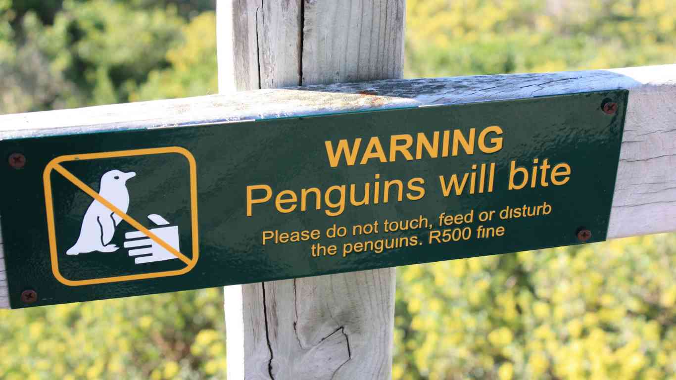 penguins will bite sign